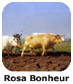 Rosa Bonheur